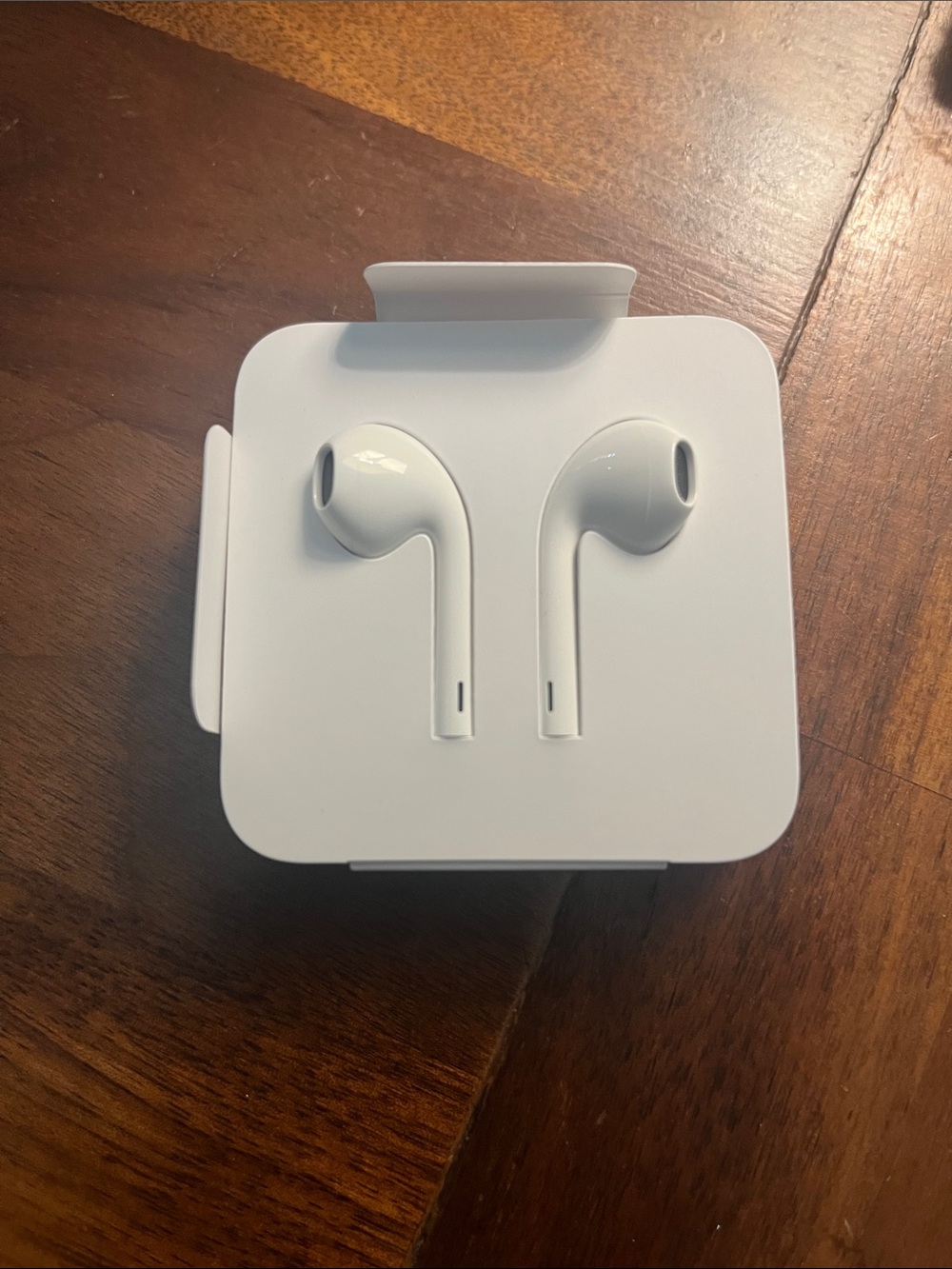 Wired Apple Lighning Earbuds w/ Adapter